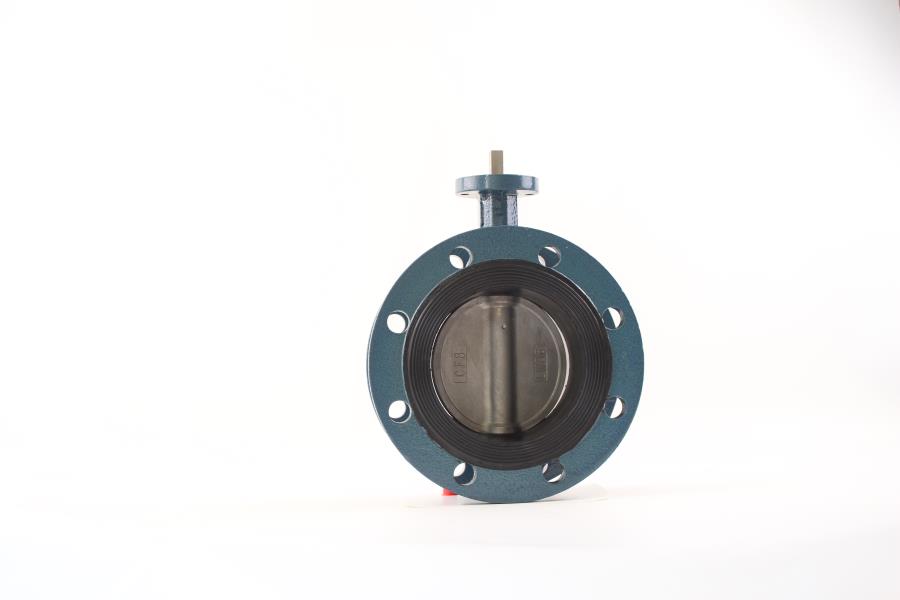 碳钢无头法兰蝶阀