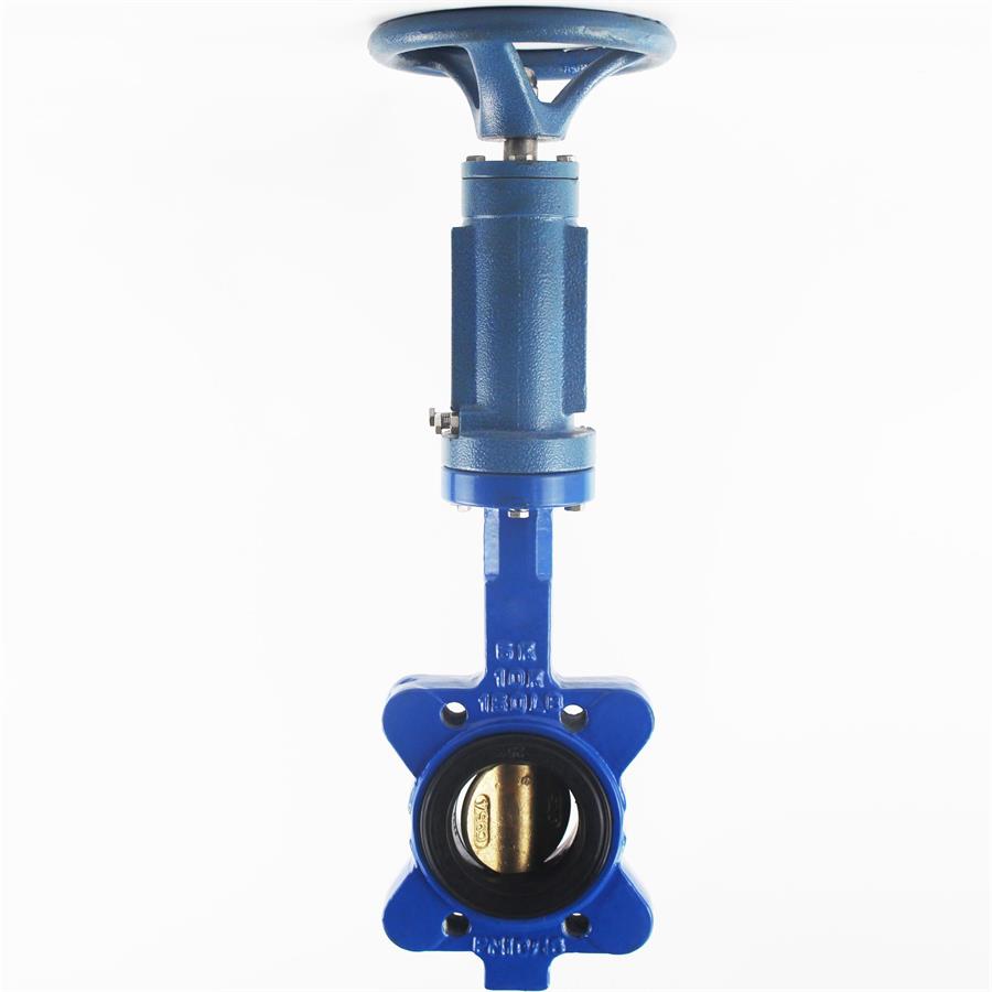 碳钢螺旋凸耳船阀