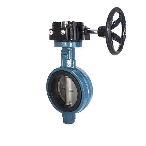 D371X3-Q6CP球铁涡轮工业蝶阀